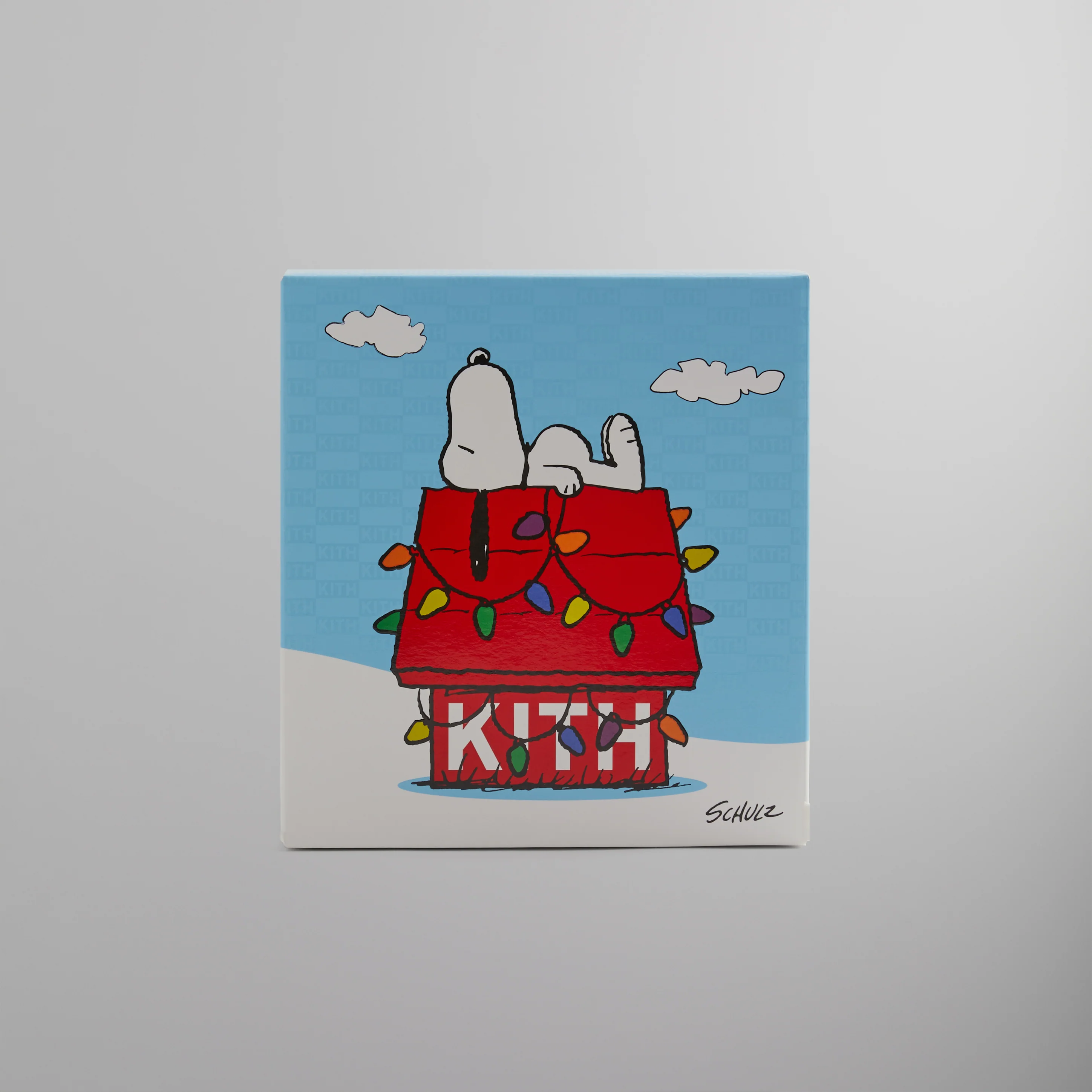 Kith for Snoopy Kithmas House Snow Globe - Pyre - Image 8