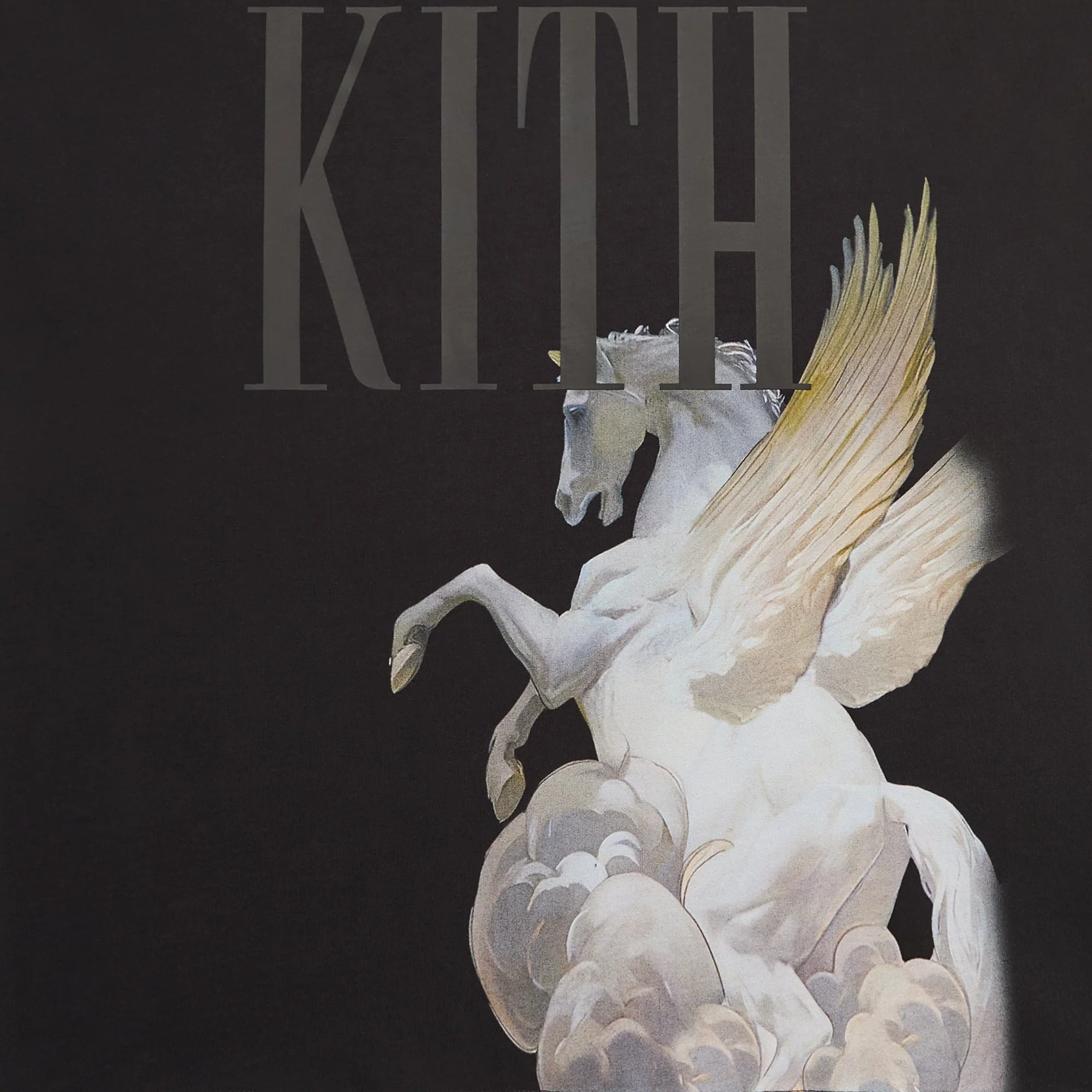 Kith Pegasus Vintage Tee - Black - Image 2