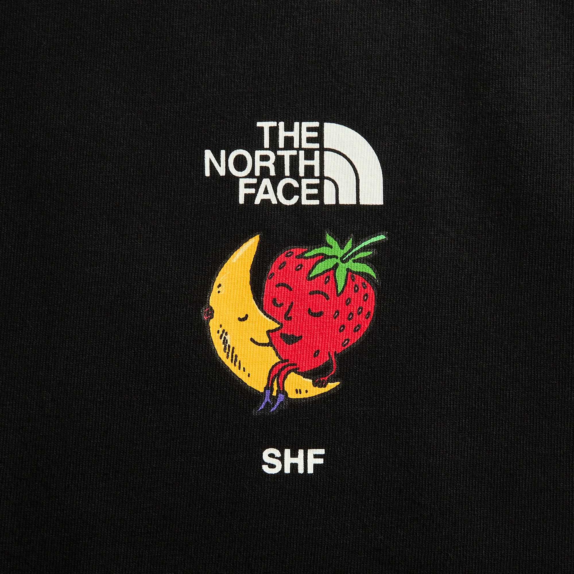 The North Face x Sky High Farms Tee - Black - Image 3