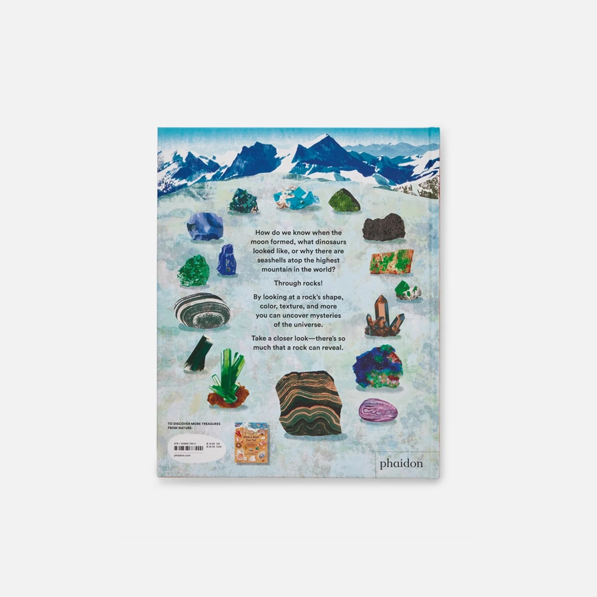 PHAIDON What a Rock Can Reveal - Image 2