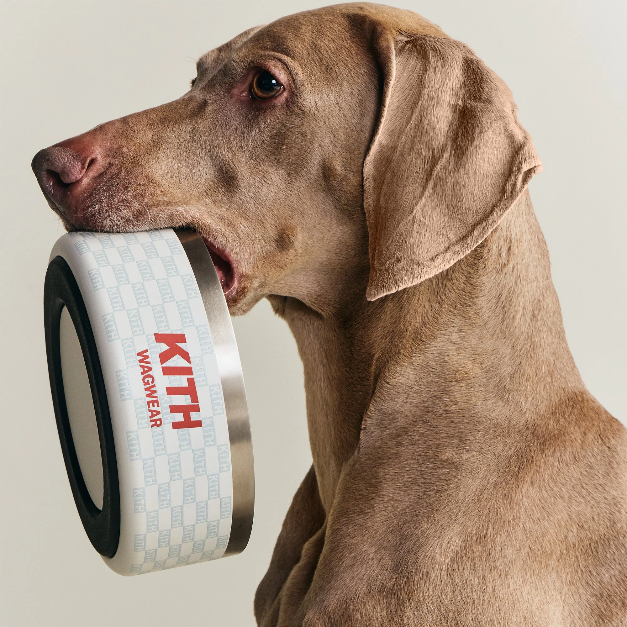 Kith for wagwear Metal Dog Bowl - Sandrift - Image 2