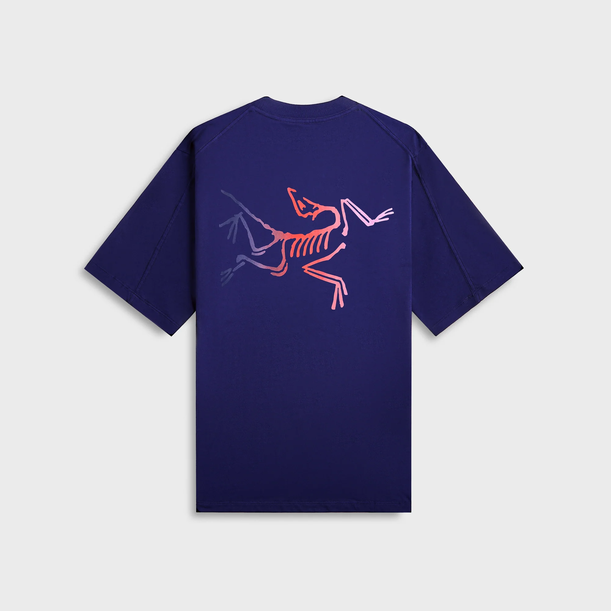 Arc'teryx Kragg Cotton Logo - Soulsonic / Dynasty - Image 2
